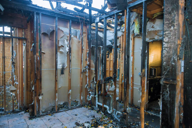 Professional Structural Rebuild technician working in Bodega Bay, CA